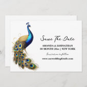 Peacock Luxus-Vogel Weißgold minimalistischer Chic Save The Date (Vorne/Hinten)