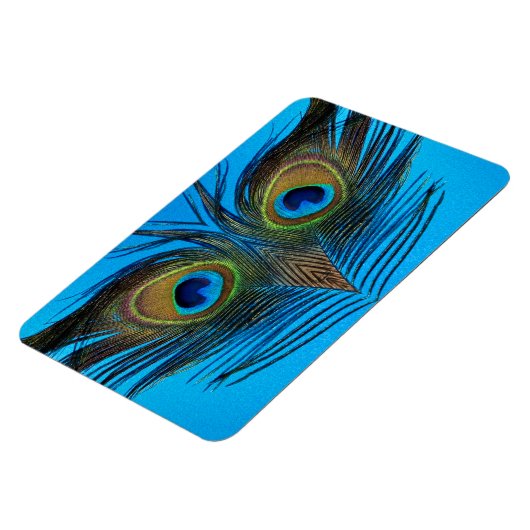 Peacock Magnet (Linke Seite)