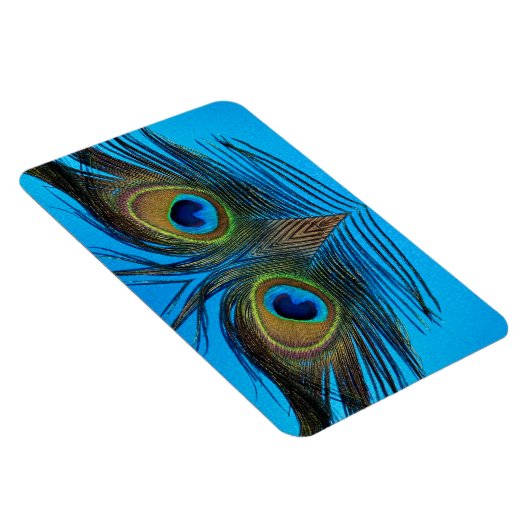 Peacock Magnet (Rechte Seite)