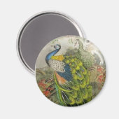 Peacock Magnet (Vorderseite/Rückseite)