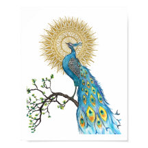 Peacock Mandala 8x10 Print