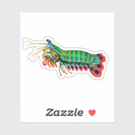 Peacock Mantis Shrimp Contour Sticker