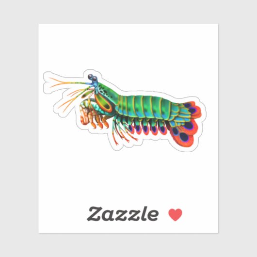 Peacock Mantis Shrimp Contour Sticker (Blatt)