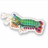 Peacock Mantis Shrimp Contour Sticker (Vorderseite)