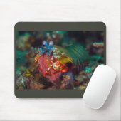 Peacock Mantis Shrimp Mousepad (Mit Mouse)