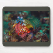 Peacock Mantis Shrimp Mousepad (Vorne)