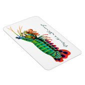 Peacock Mantis Shrimp Reef Animal Magnet (Rechte Seite)
