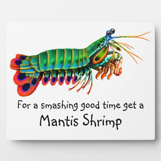 Peacock Mantis Shrimp Reef Creature Plaque Fotoplatte (Vorderseite)