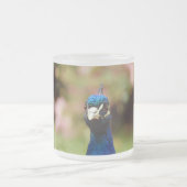 Peacock Mattglastasse (Mittel)