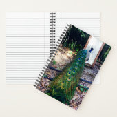 Peacock Mirror Mirror Hard Cover Notebook Notizblock (Innen)