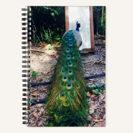 Peacock Mirror Mirror Hard Cover Notebook Notizblock