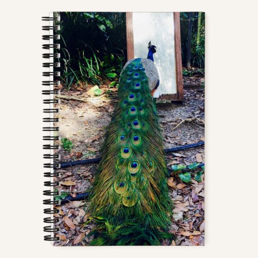 Peacock Mirror Mirror Hard Cover Notebook Notizblock (Vorderseite)