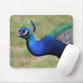 Peacock Mouse Mousepad (Mit Mouse)