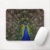 Peacock Mouse Pad Mousepad (Mit Mouse)