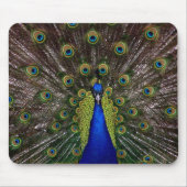 Peacock Mouse Pad Mousepad (Vorne)