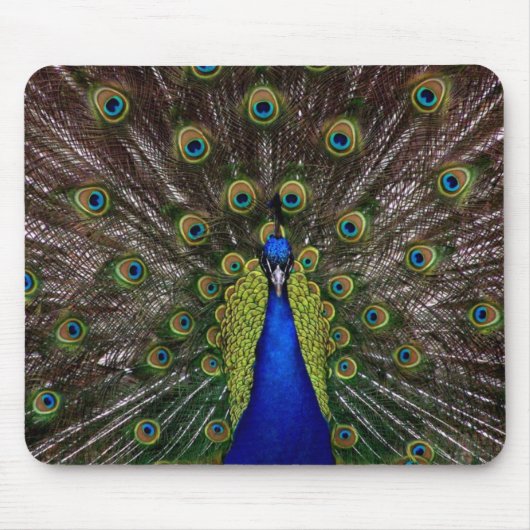 Peacock Mouse Pad Mousepad (Vorne)