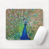 Peacock Mouse Pad Mousepad (Mit Mouse)