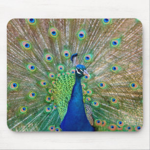Peacock Mouse Pad Mousepad