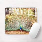 Peacock Mouse Pad Mousepad (Mit Mouse)