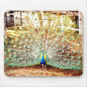 Peacock Mouse Pad Mousepad (Vorne)