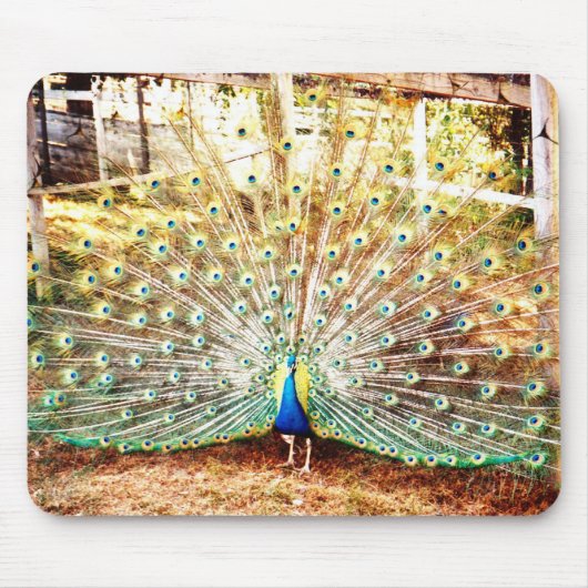 Peacock Mouse Pad Mousepad (Vorne)