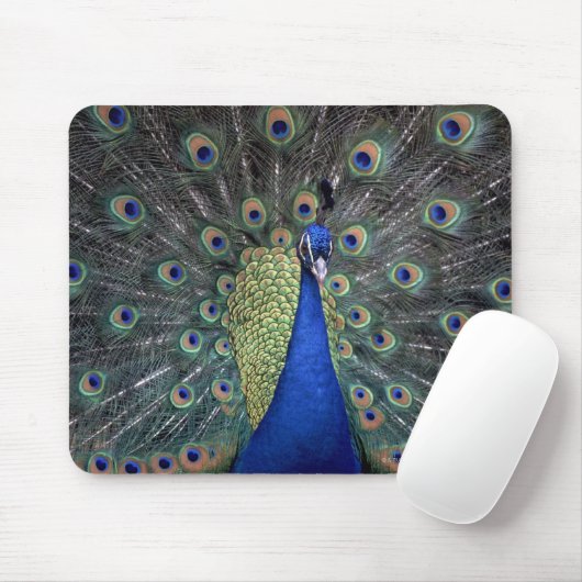 Peacock Mousepad (Mit Mouse)