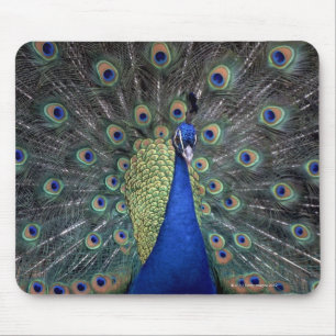 Peacock Mousepad