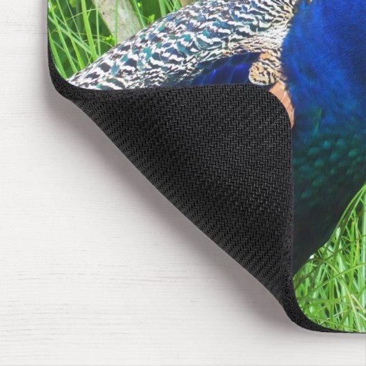 Peacock Mousepad (Ecke)