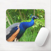 Peacock Mousepad (Mit Mouse)