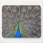 Peacock Mousepad (Vorne)