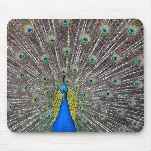 Peacock Mousepad (Vorne)