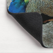Peacock Mousepad (Ecke)