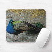 Peacock Mousepad (Mit Mouse)