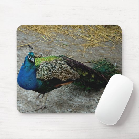 Peacock Mousepad (Mit Mouse)