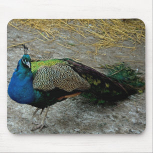 Peacock Mousepad