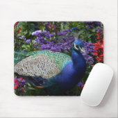 Peacock Mousepad (Mit Mouse)