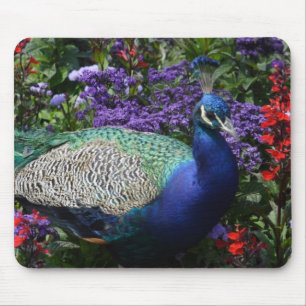 Peacock Mousepad