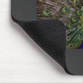 Peacock Mousepad (Ecke)