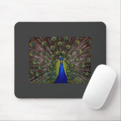 Peacock Mousepad (Mit Mouse)