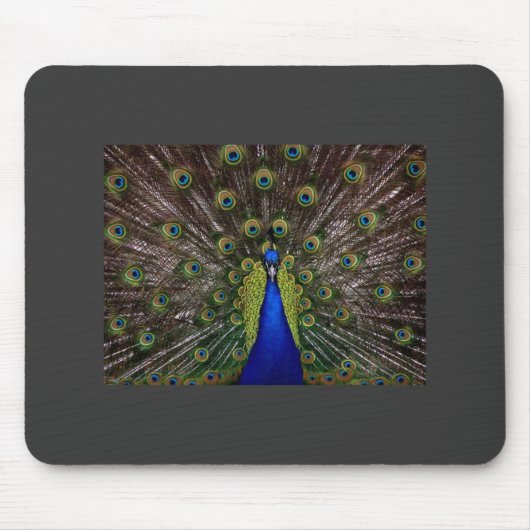 Peacock Mousepad (Vorne)