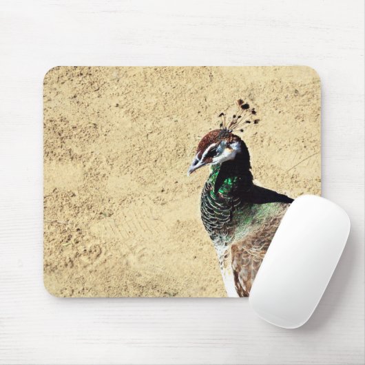 Peacock Mousepad (Mit Mouse)