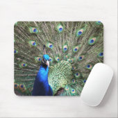 Peacock Mousepad (Mit Mouse)