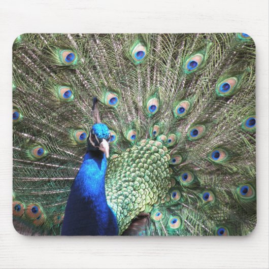 Peacock Mousepad (Vorne)