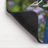 Peacock Mousepad (Ecke)