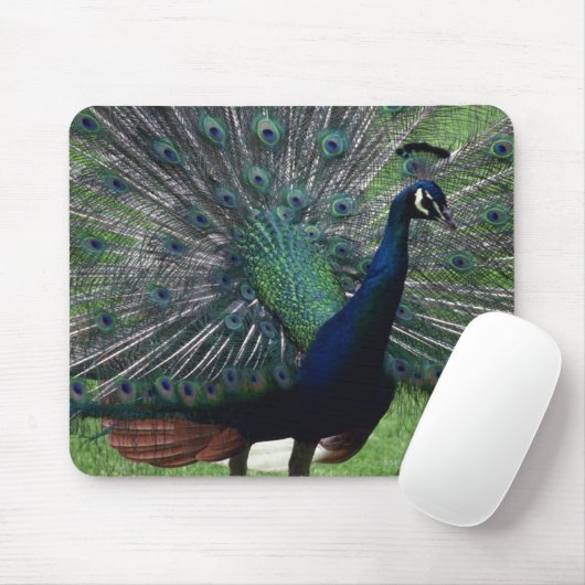 Peacock Mousepad (Mit Mouse)
