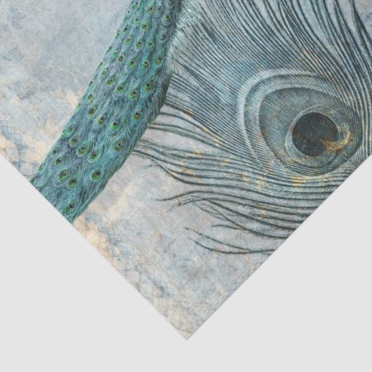 Peacock n Feathers Dekoupage des blauen und weißen Seidenpapier (Detail)