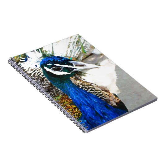 Peacock Notizblock (Rechte Seite)