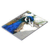 Peacock Notizblock (Linke Seite)