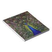 Peacock Notizblock (angewinkelt)