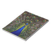 Peacock Notizblock (Rotiert)